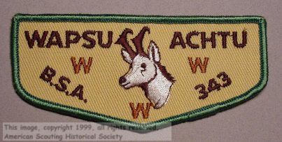 Wapsu Actu 343